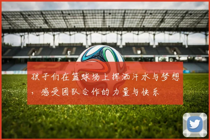 孩子们在篮球场上挥洒汗水与梦想，感受团队合作的力量与快乐