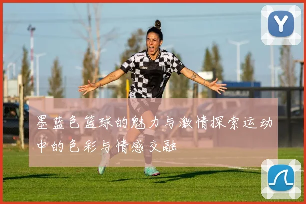 墨蓝色篮球的魅力与激情探索运动中的色彩与情感交融