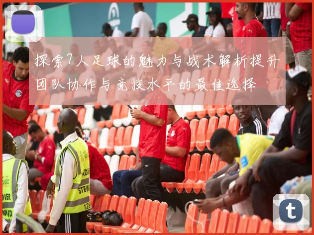 探索7人足球的魅力与战术解析提升团队协作与竞技水平的最佳选择