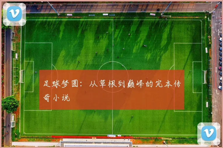足球梦圆：从草根到巅峰的完本传奇小说