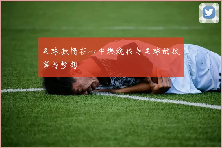足球激情在心中燃烧我与足球的故事与梦想