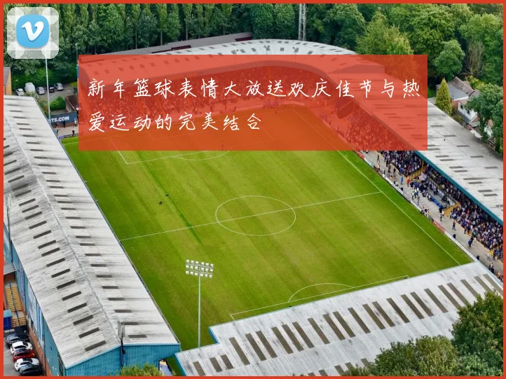 新年篮球表情大放送欢庆佳节与热爱运动的完美结合