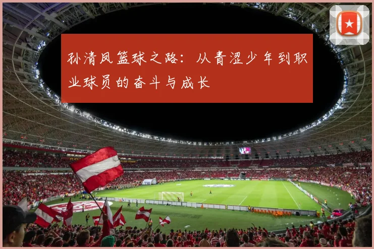 孙清凤篮球之路：从青涩少年到职业球员的奋斗与成长