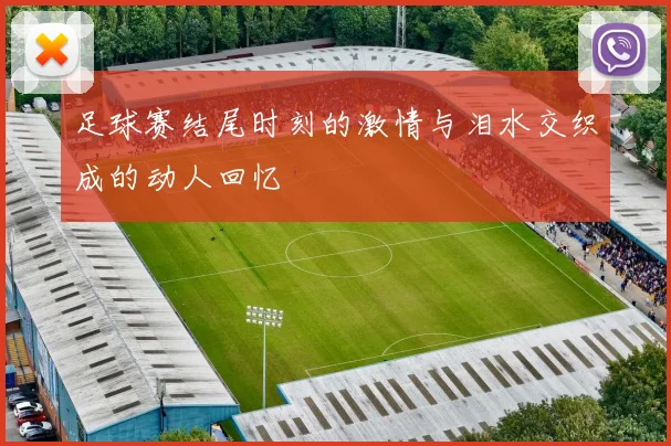 足球赛结尾时刻的激情与泪水交织成的动人回忆