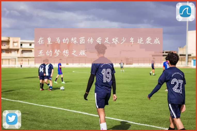 在皇马的绿茵传奇足球少年逆袭成王的梦想之旅