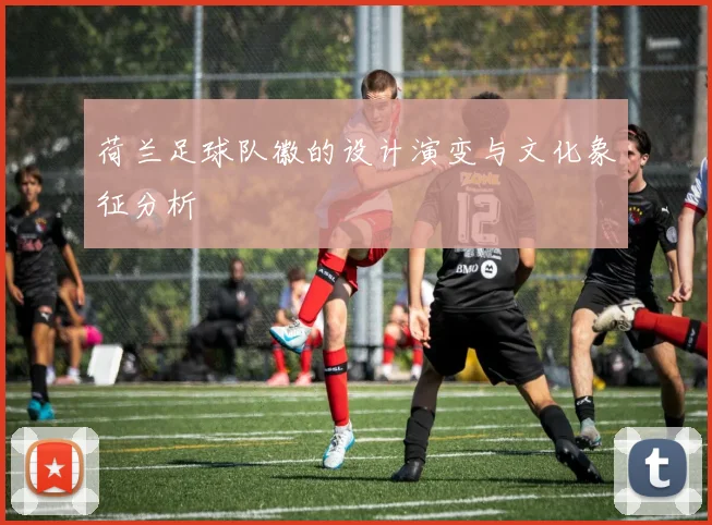 荷兰足球队徽的设计演变与文化象征分析